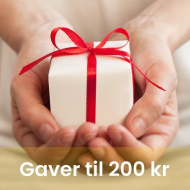 Gaver til 200 kr