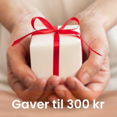 Gaver til 300 kr