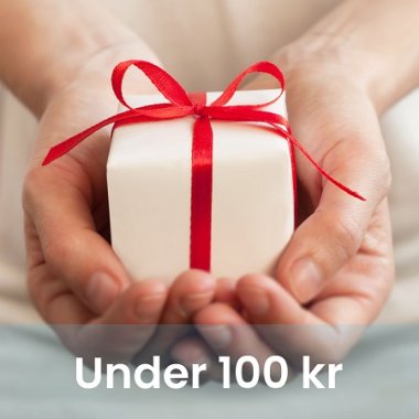 Gaver under 100 kr
