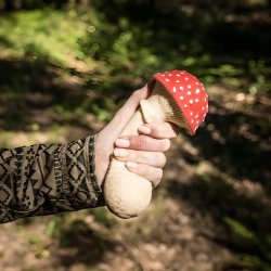 Antistress Svamp - Anti Stress Legetj