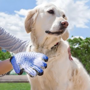 Brstehandske til Hund og Kat