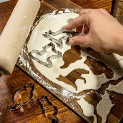 Kageudstikkere - Katte