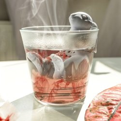 Kanin Til Teen - Teg