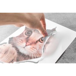 Klistermrker Til Toilettet