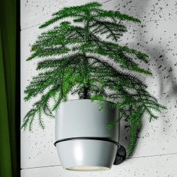 Opbevaringsring til V�ggen