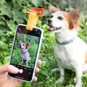 Selfie-klips til kledyr