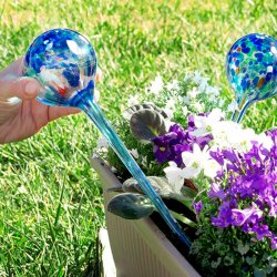 Selvvandingskrystaller Til Planter 2 stk.