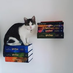 Usynlig Boghylde - Svvehylde Til Vggen