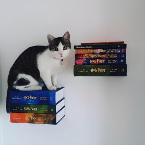 Usynlig Boghylde - Svvehylde Til Vggen